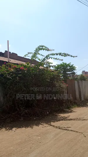 Kahawa Wendani-Commercial 50*100 Ideal for Highrise