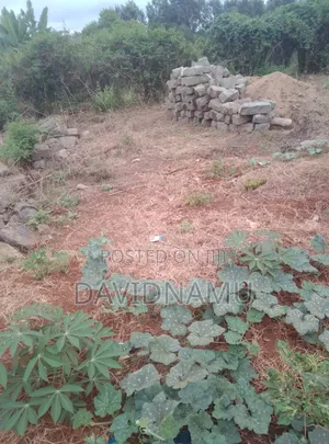 50*100 Plot in Embu Rwika