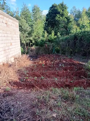 50*100 Plot in Embu Rwika