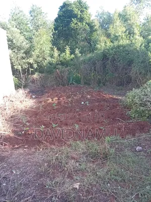50*100 Plot in Embu Rwika