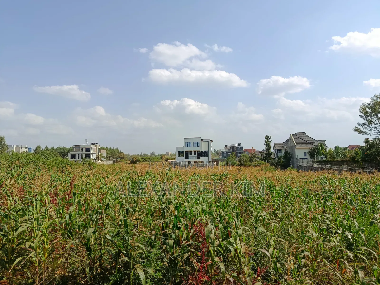 Ukombozi Estate 1/2 Acre Residential