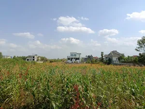 Ukombozi Estate 1/2 Acre Residential