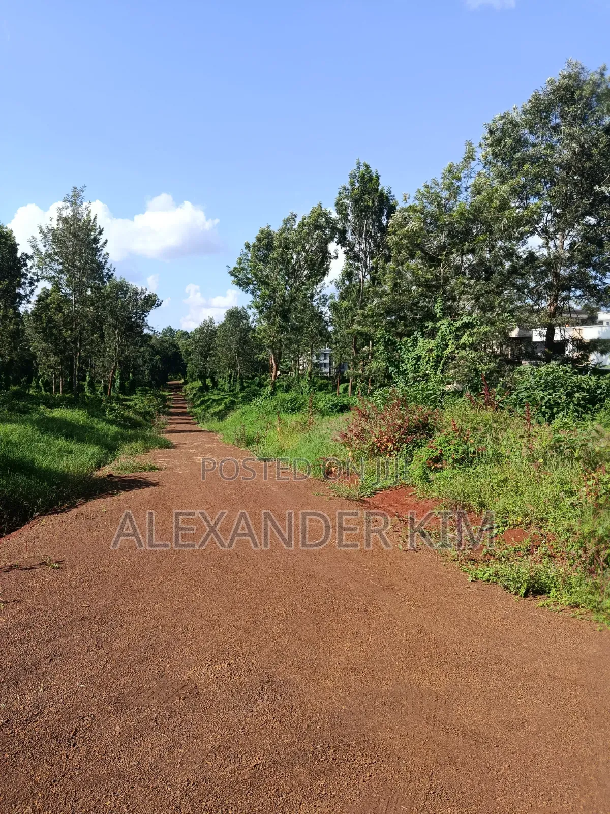 Ayyana Waters Fully Serviced 1/8 and 1/4 Acre