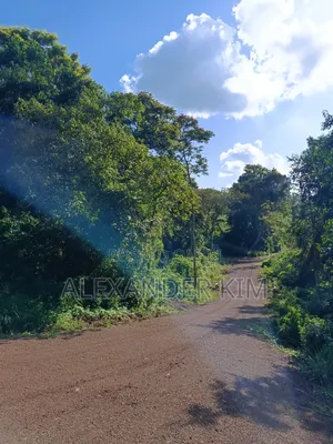 Ayyana Waters Fully Serviced 1/8 and 1/4 Acre