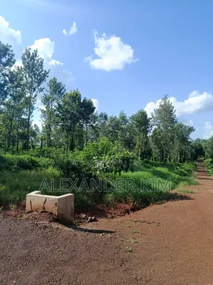 Ayyana Waters Fully Serviced 1/8 and 1/4 Acre