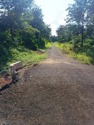 Ayyana Waters Fully Serviced 1/8 and 1/4 Acre