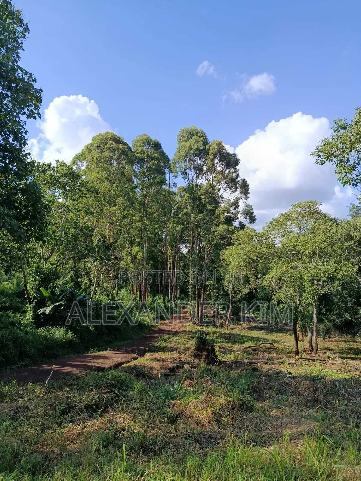 Ayyana Waters Fully Serviced 1/8 and 1/4 Acre