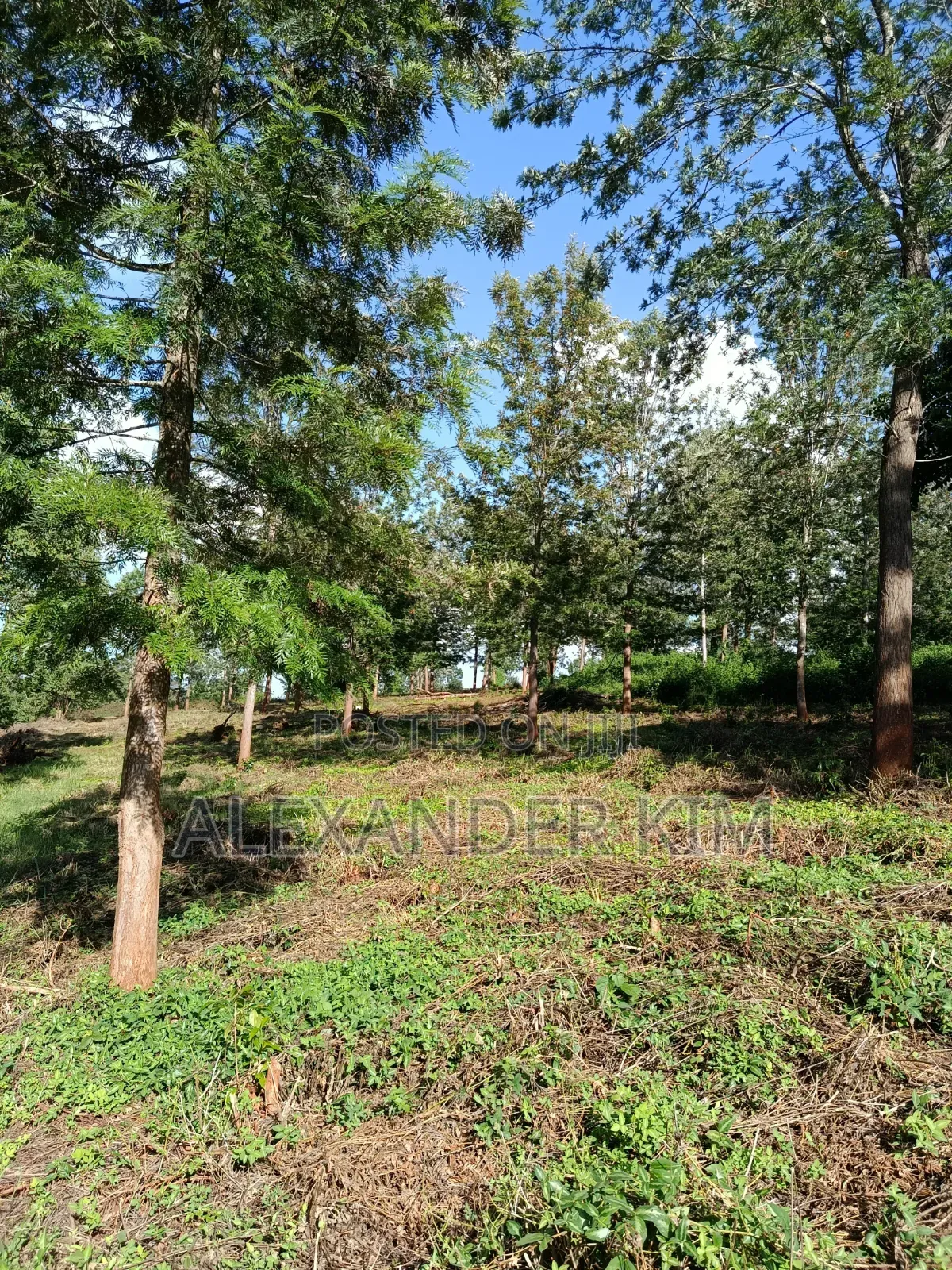 Ayyana Waters Fully Serviced 1/8 and 1/4 Acre