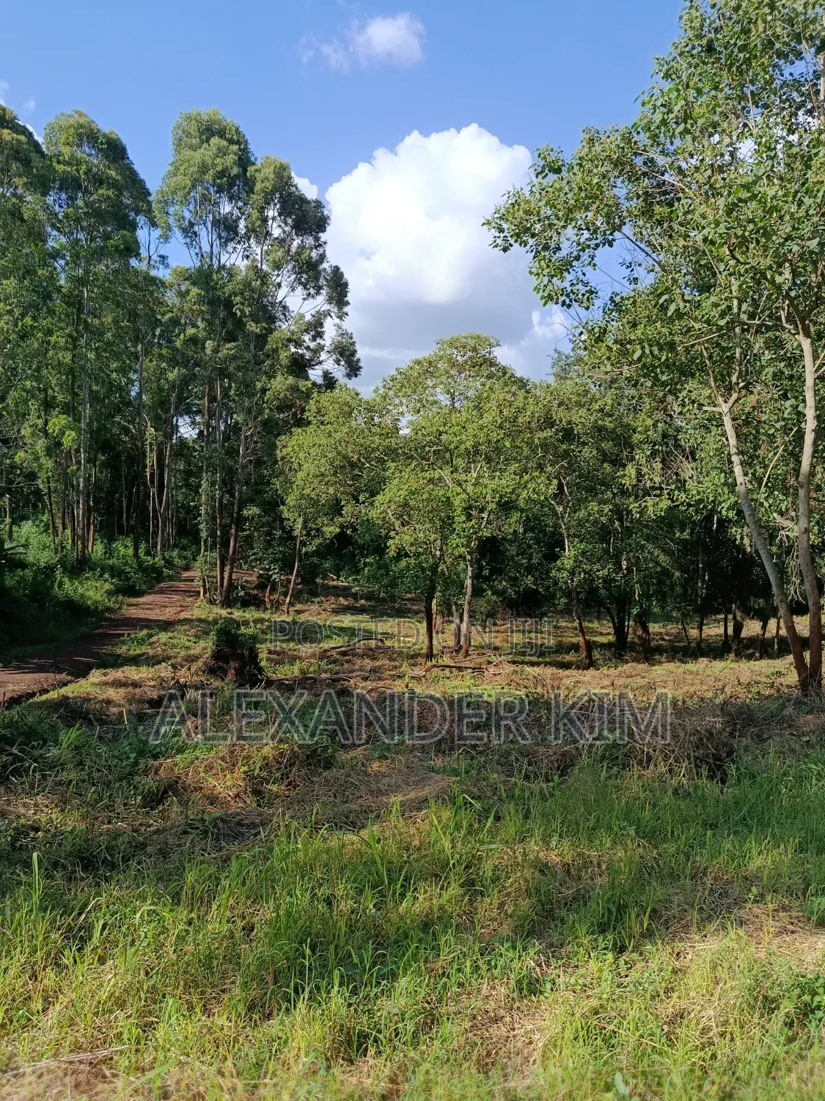 Ayyana Waters Fully Serviced 1/8 and 1/4 Acre