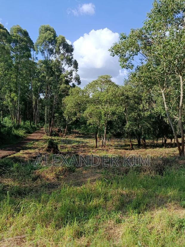 Ayyana Waters Fully Serviced 1/8 and 1/4 Acre - thumbnail 8