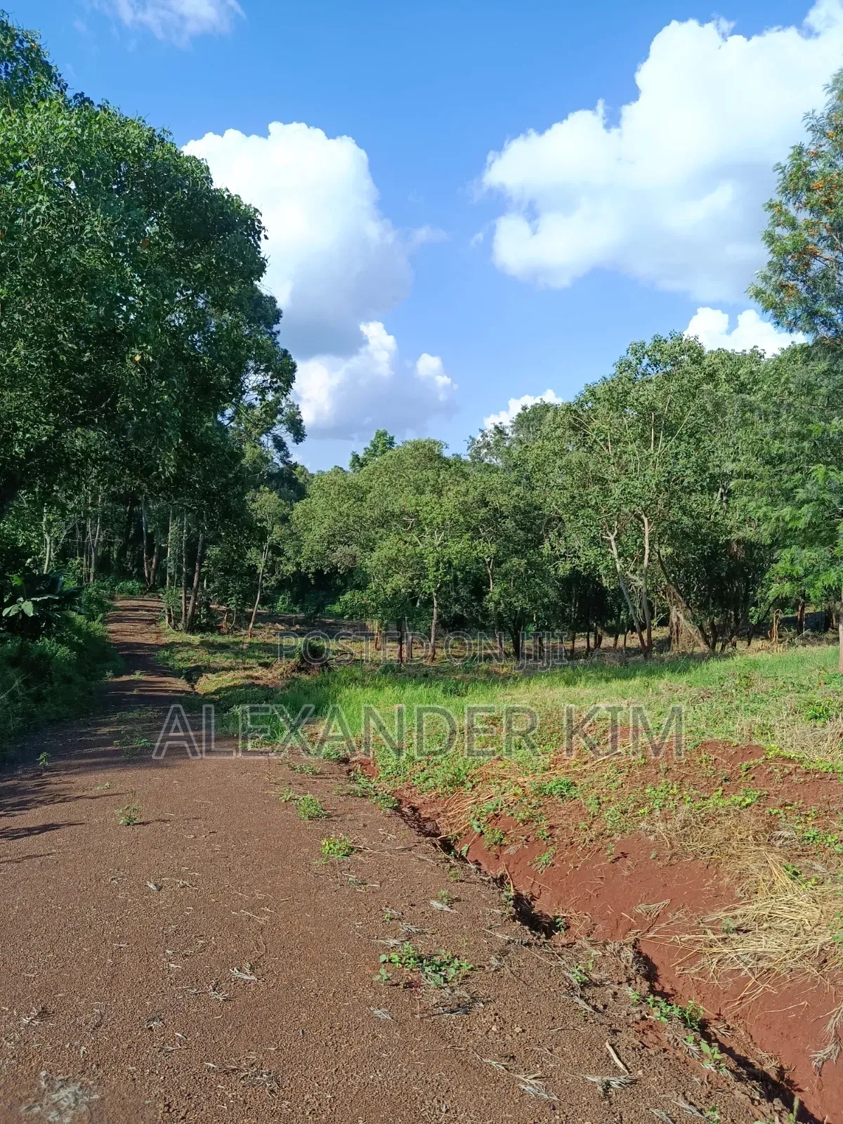 Ayyana Waters Fully Serviced 1/8 and 1/4 Acre