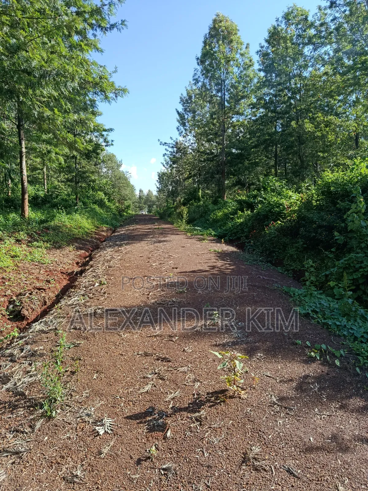 Ayyana Waters Fully Serviced 1/8 and 1/4 Acre
