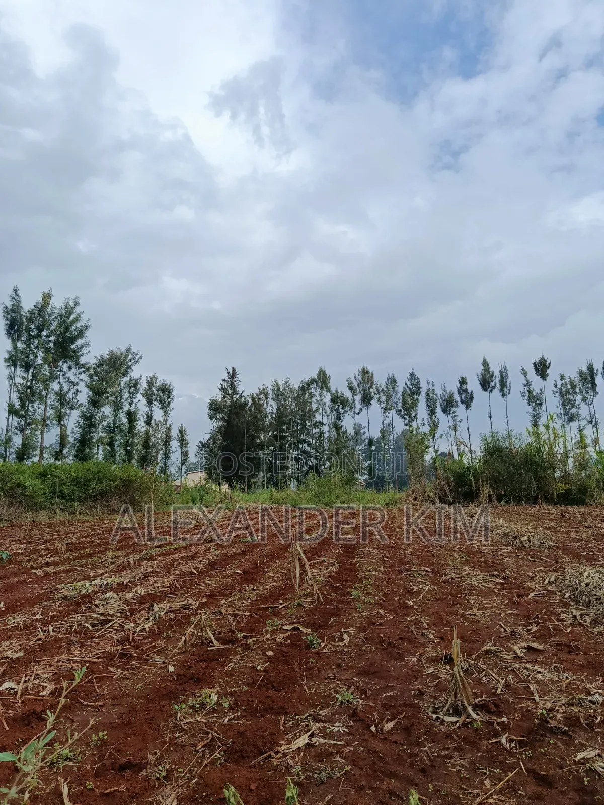 Ruiru-Githunguri Rd 1/2 Acre Residential Plot