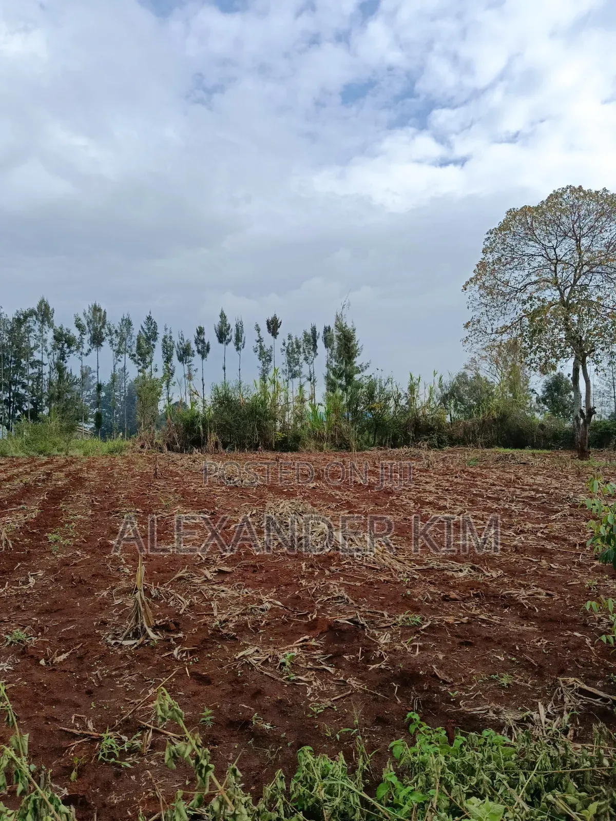 Ruiru-Githunguri Rd 1/2 Acre Residential Plot