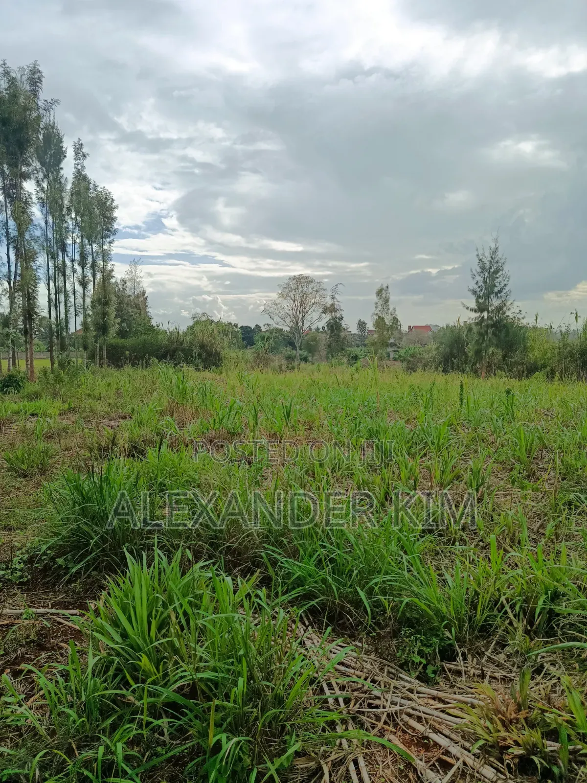 Ruiru-Githunguri Rd 1/2 Acre Residential Plot