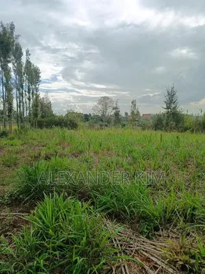 Ruiru-Githunguri Rd 1/2 Acre Residential Plot