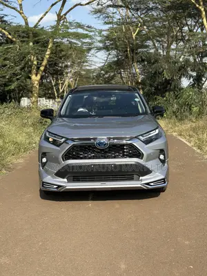 Toyota RAV4 Hybrid 2019 Silver
