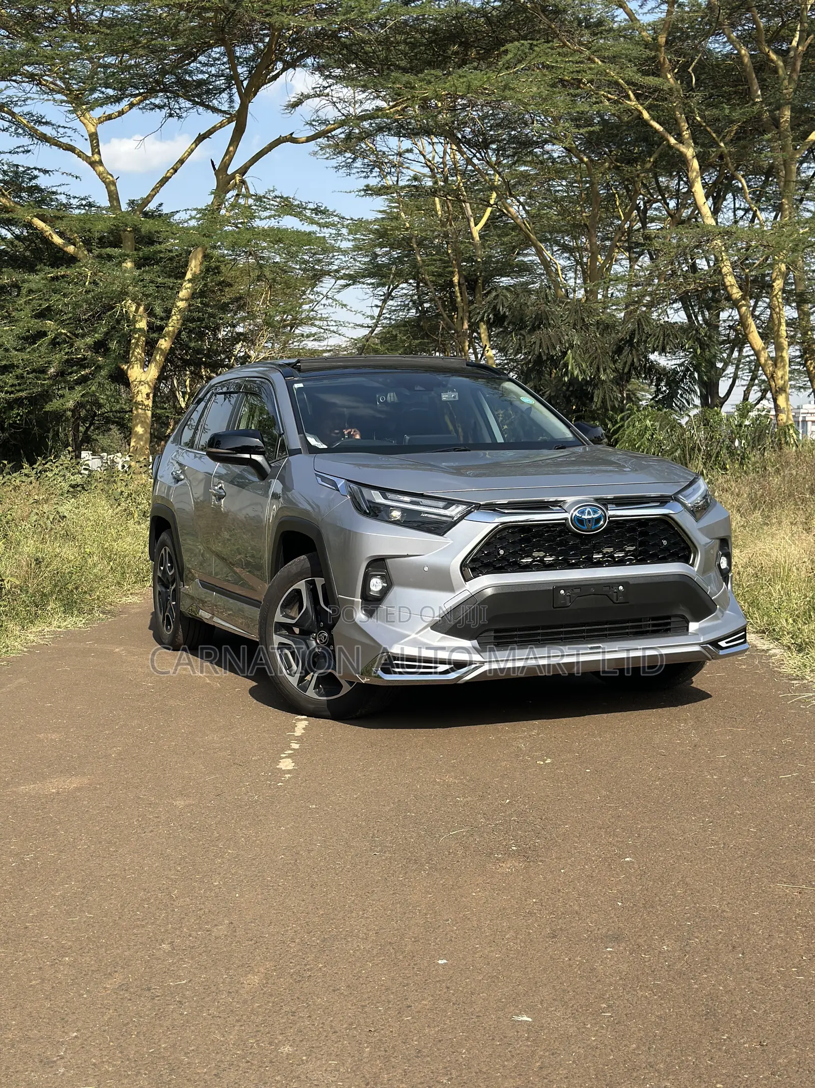 Toyota RAV4 Hybrid 2019 Silver