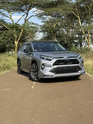 Toyota RAV4 Hybrid 2019 Silver