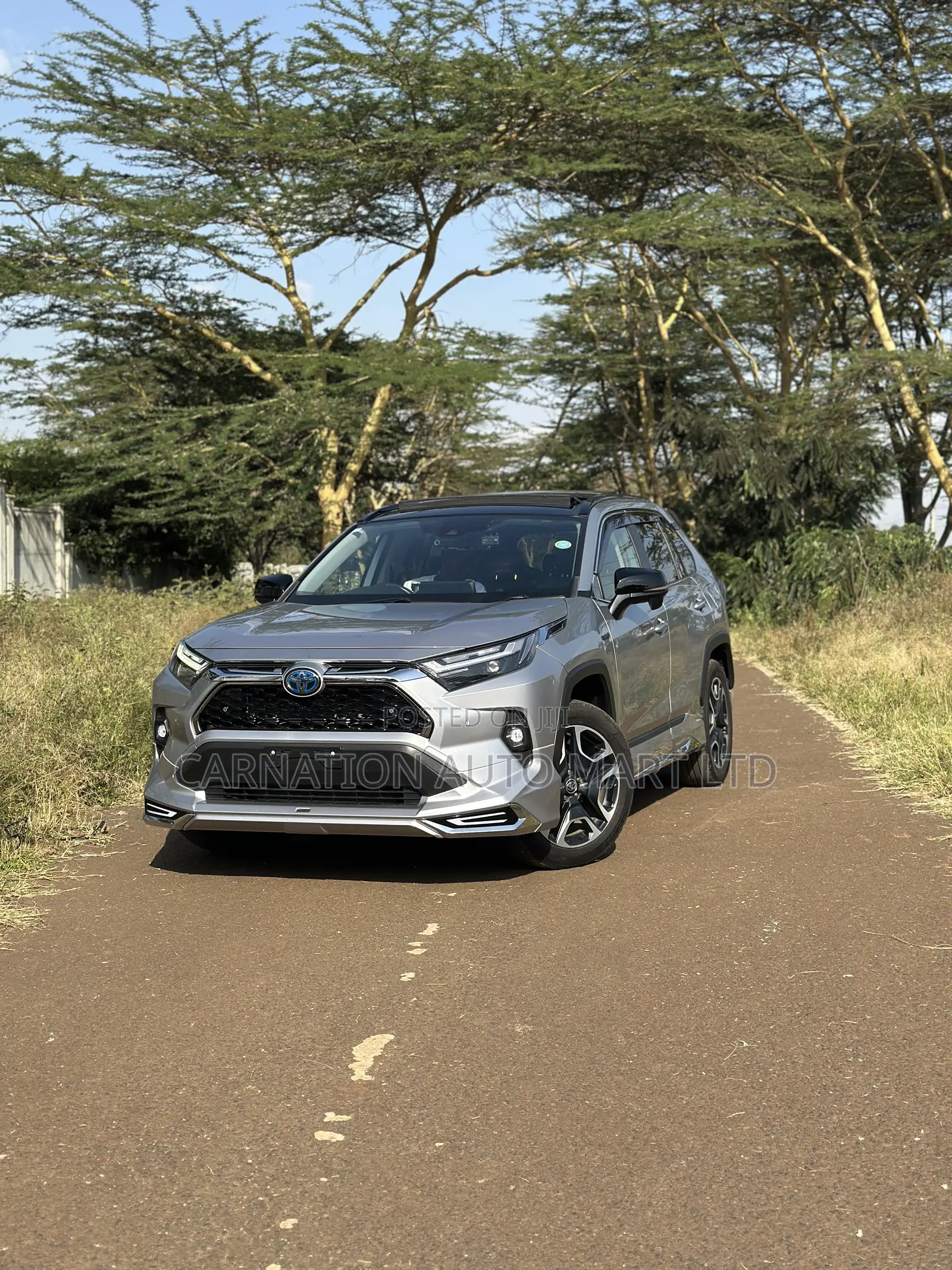 Toyota RAV4 Hybrid 2019 Silver