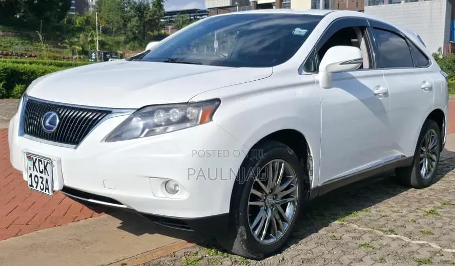 Lexus RX 2010 White