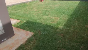 Landasacaping