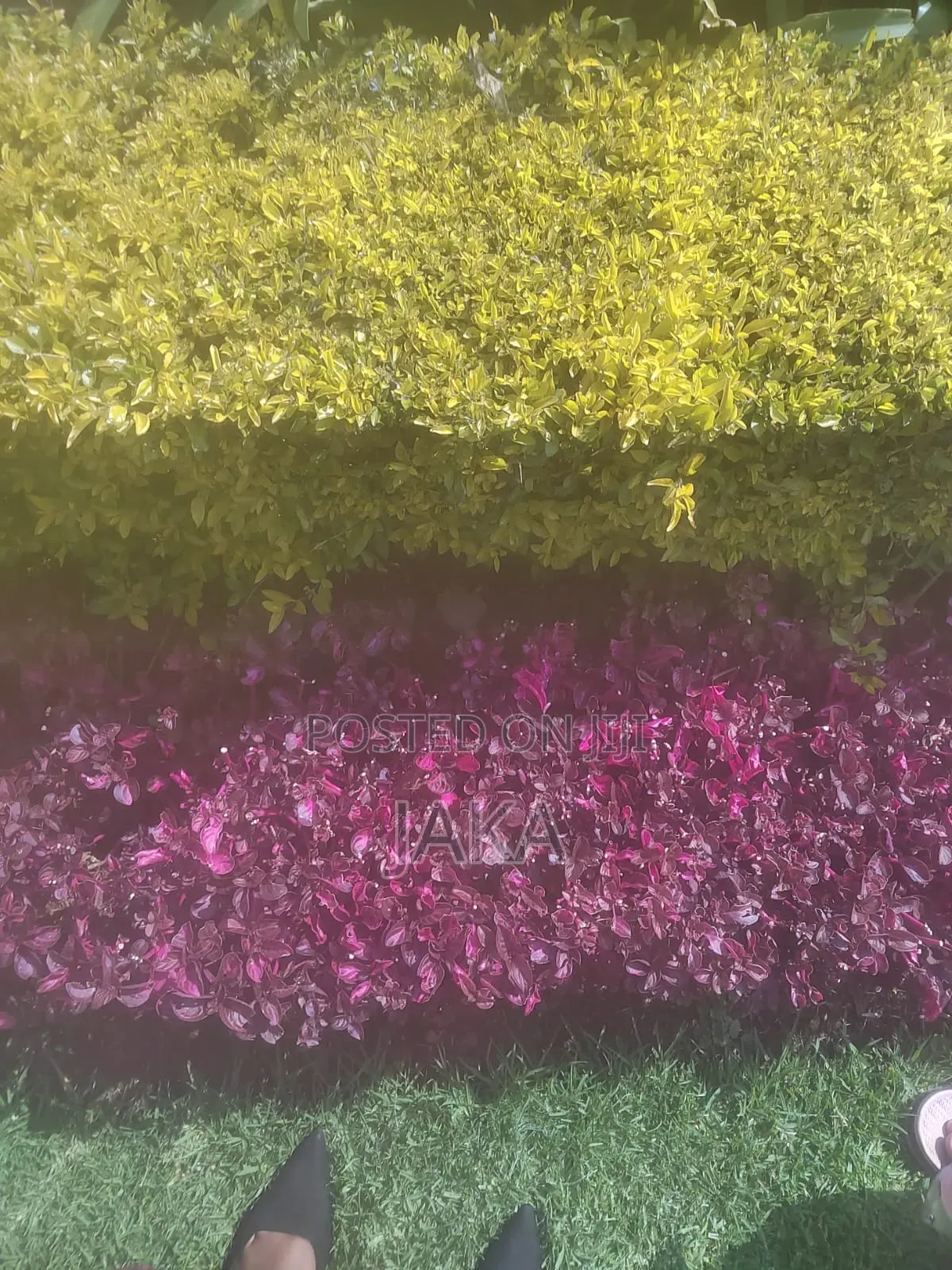 Landasacaping