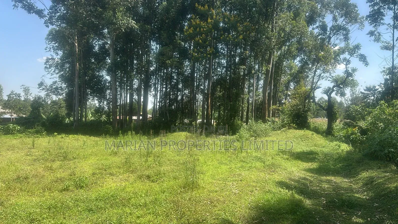 Plot for Sale