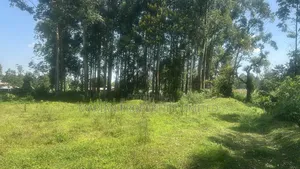 Plot for Sale