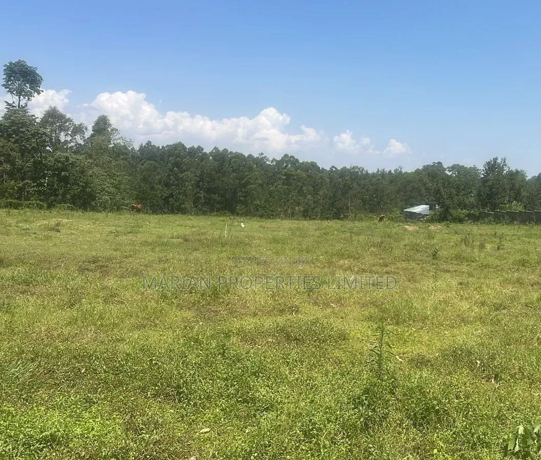 Plot for Sale