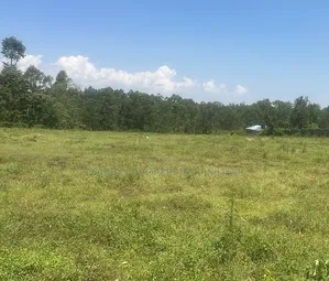 Plot for Sale