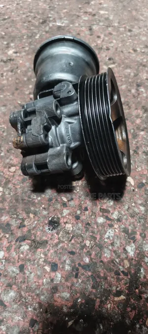 Toyota Surf Cartilage