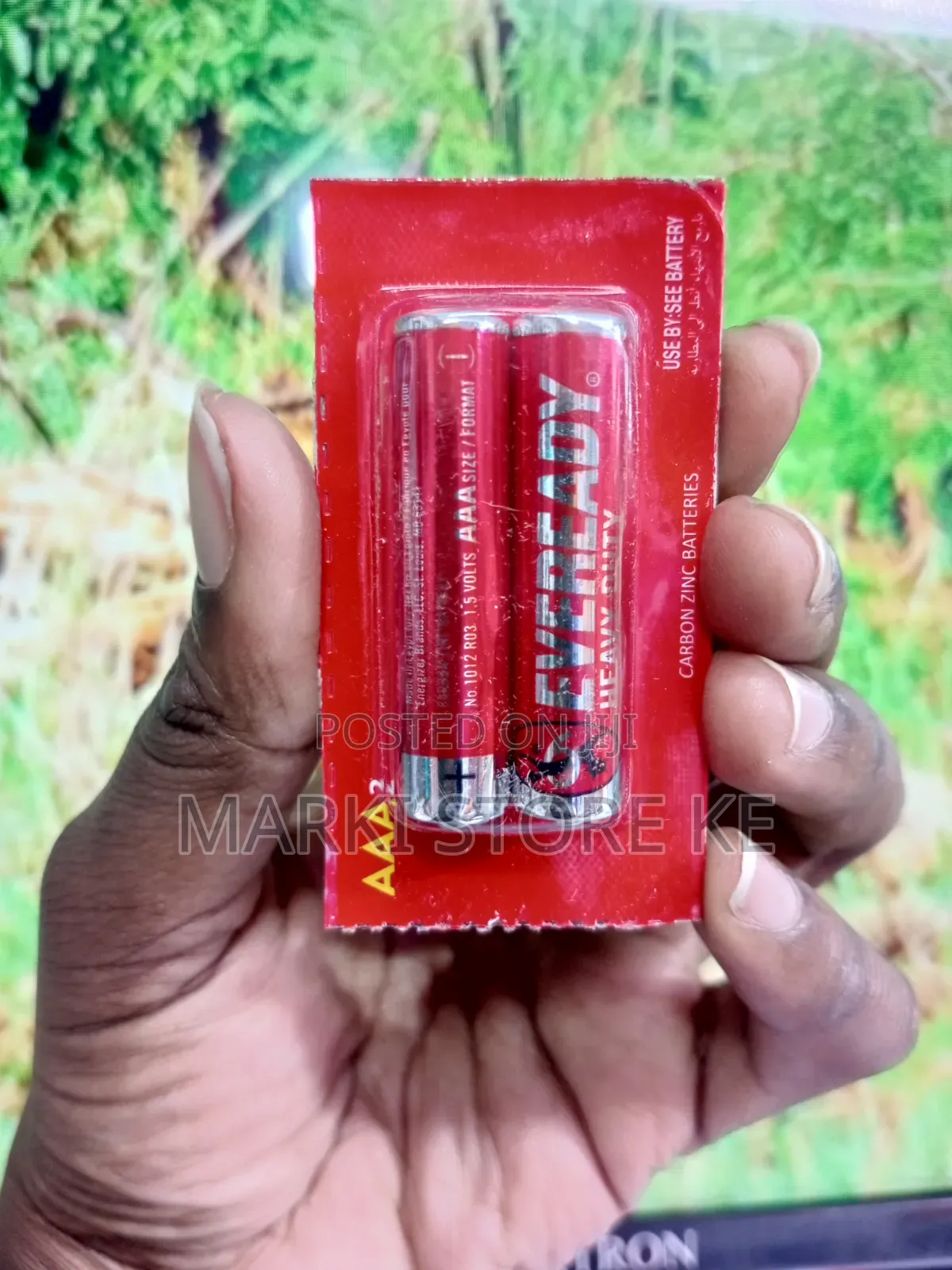 Triple AAA Heavy Duty Batteries