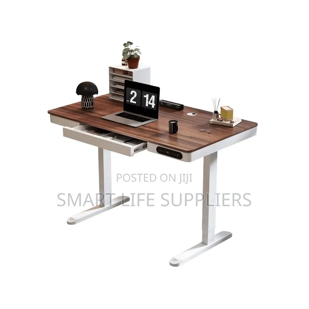 Premium Adjustable Electric Standing Desk