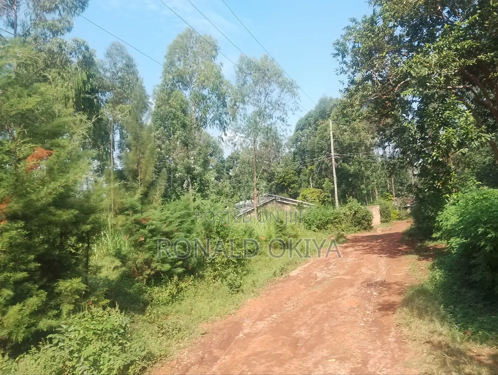 West Bunyore/ Ebusakami/3656
