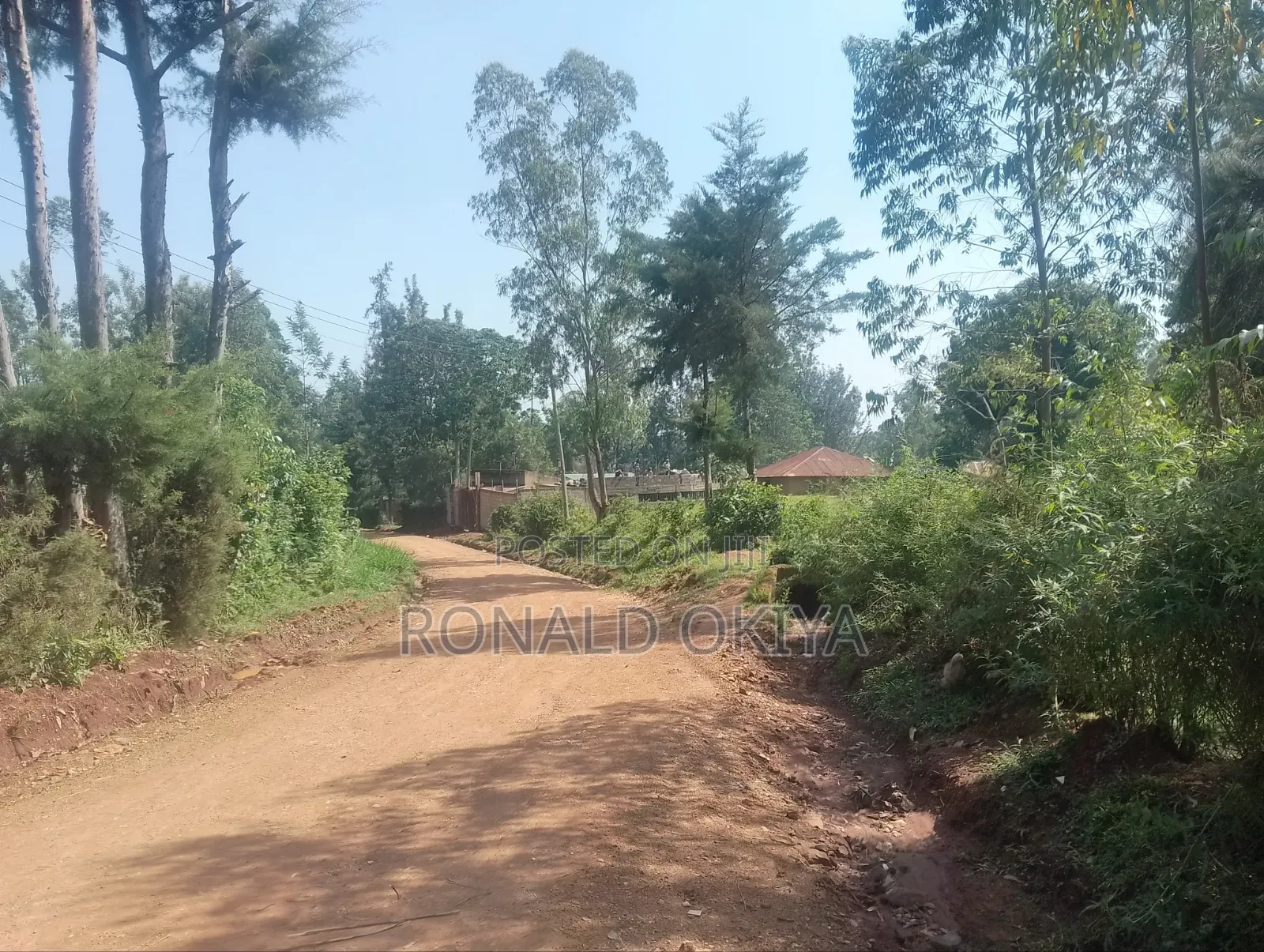 West Bunyore/ Ebusakami/3656