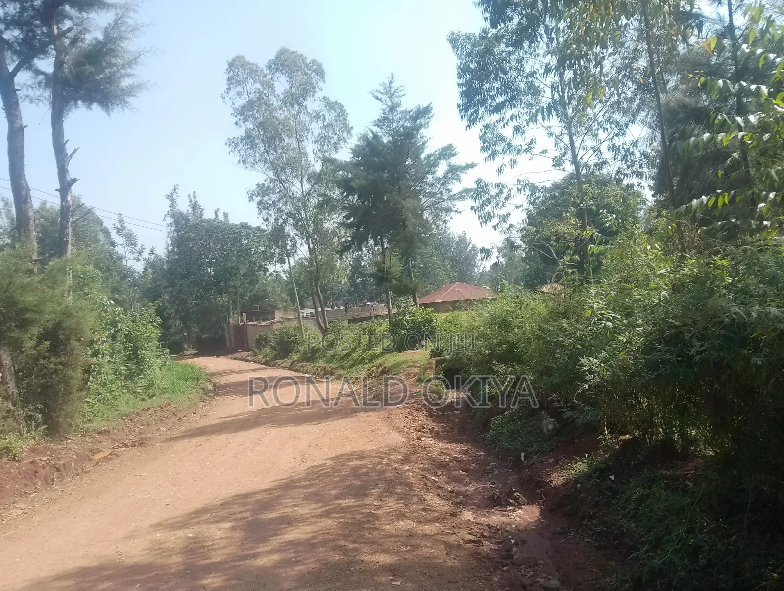 West Bunyore/ Ebusakami/3656