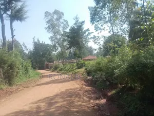 West Bunyore/ Ebusakami/3656