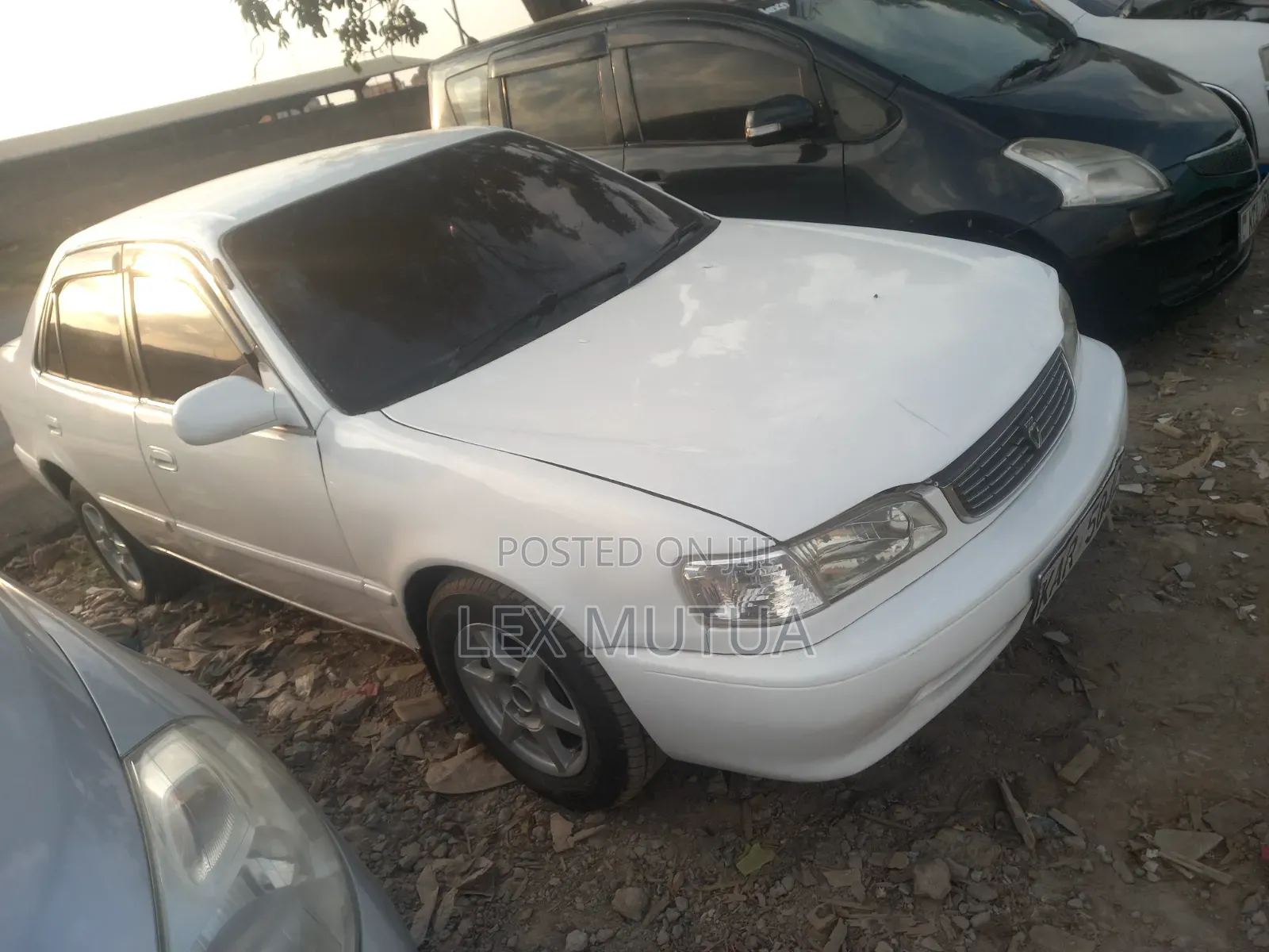 Toyota Corolla 1998 White