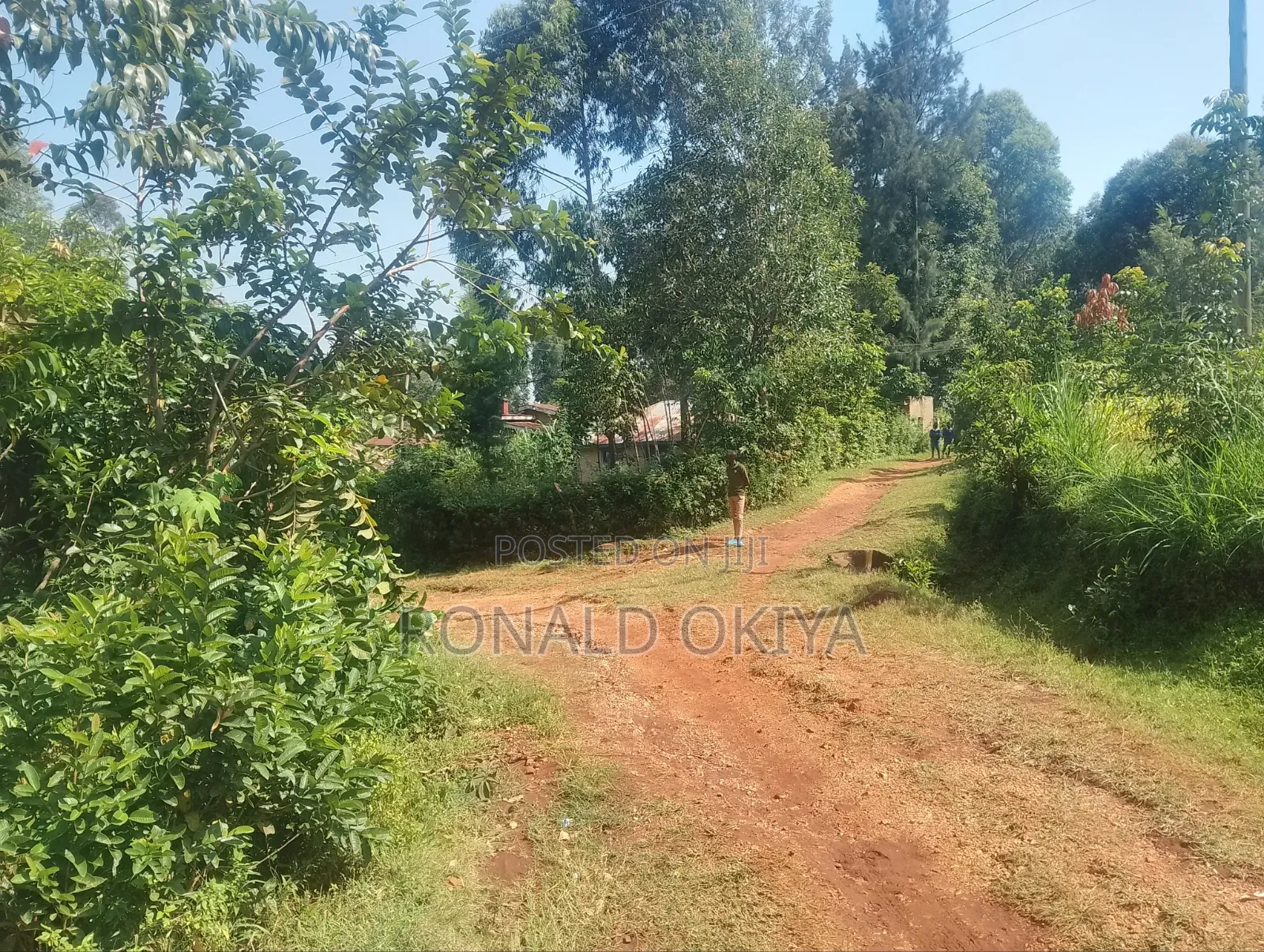 West Bunyore/ Ebusakami/3656