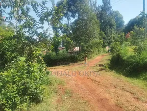 West Bunyore/ Ebusakami/3656