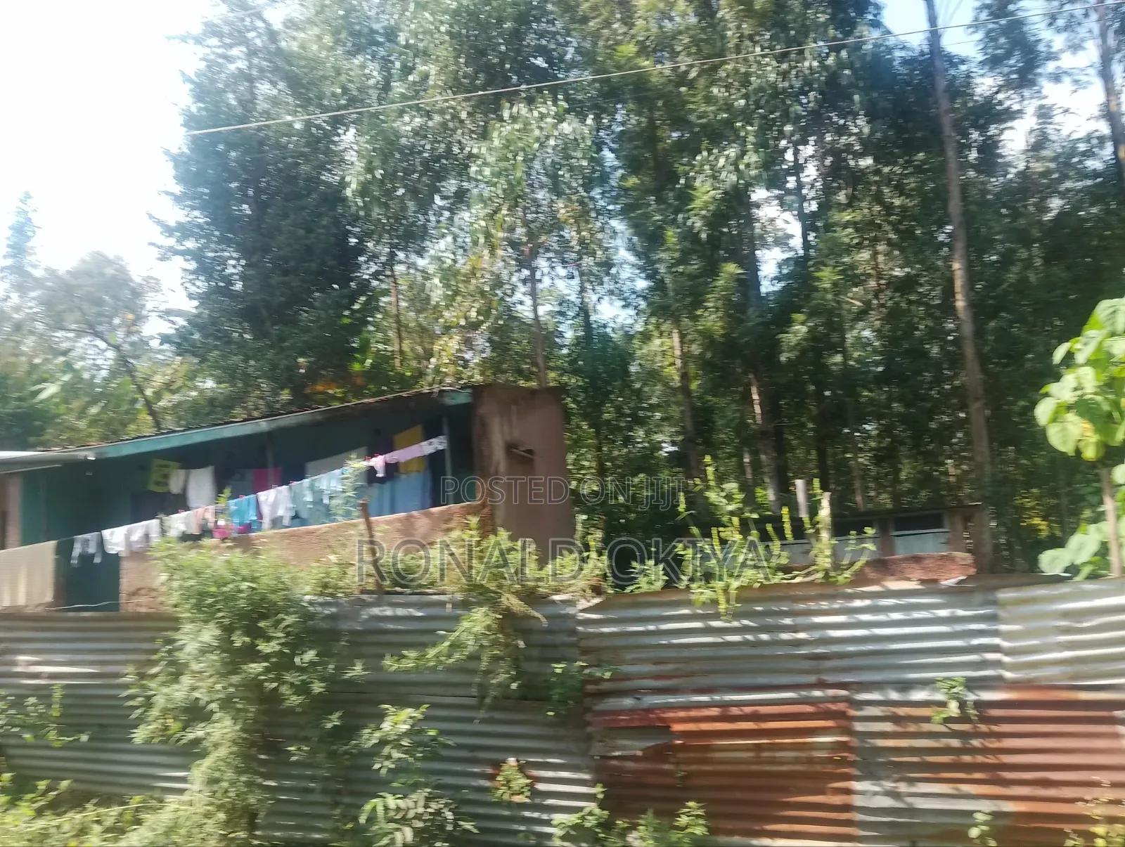 West Bunyore/ Ebusakami/3656