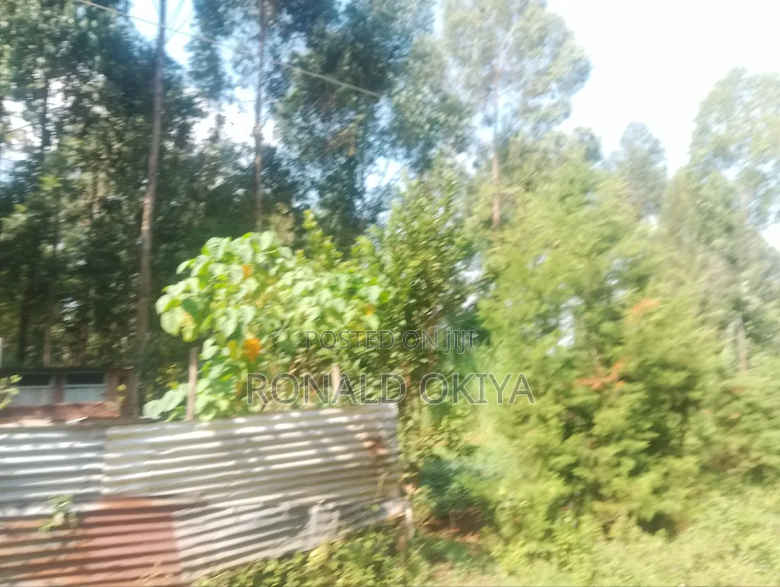 West Bunyore/ Ebusakami/3656