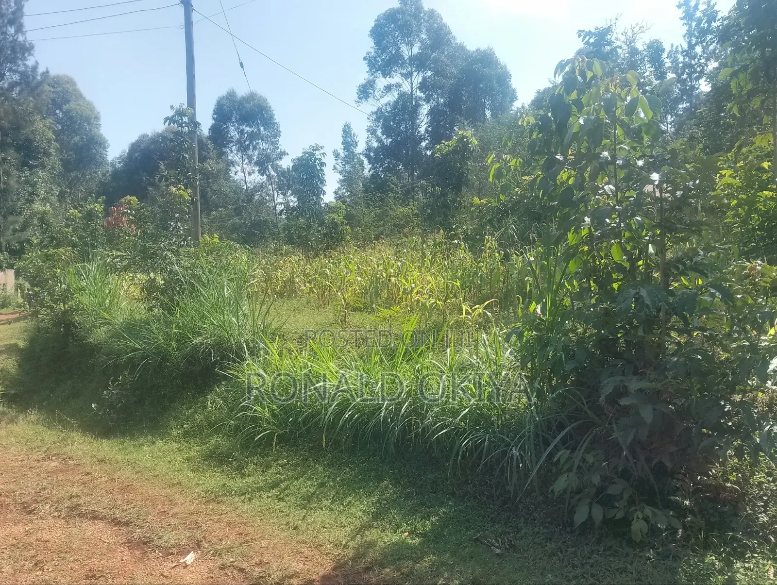 West Bunyore/ Ebusakami/3656