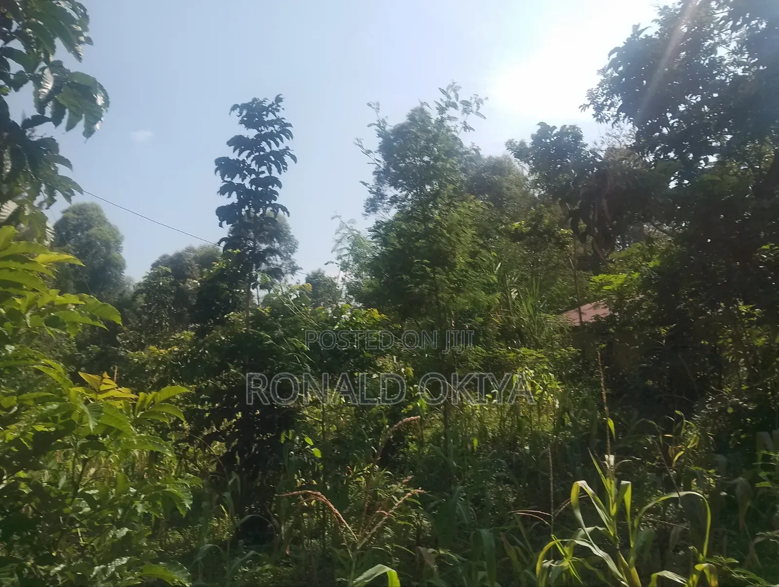 West Bunyore/ Ebusakami/3656