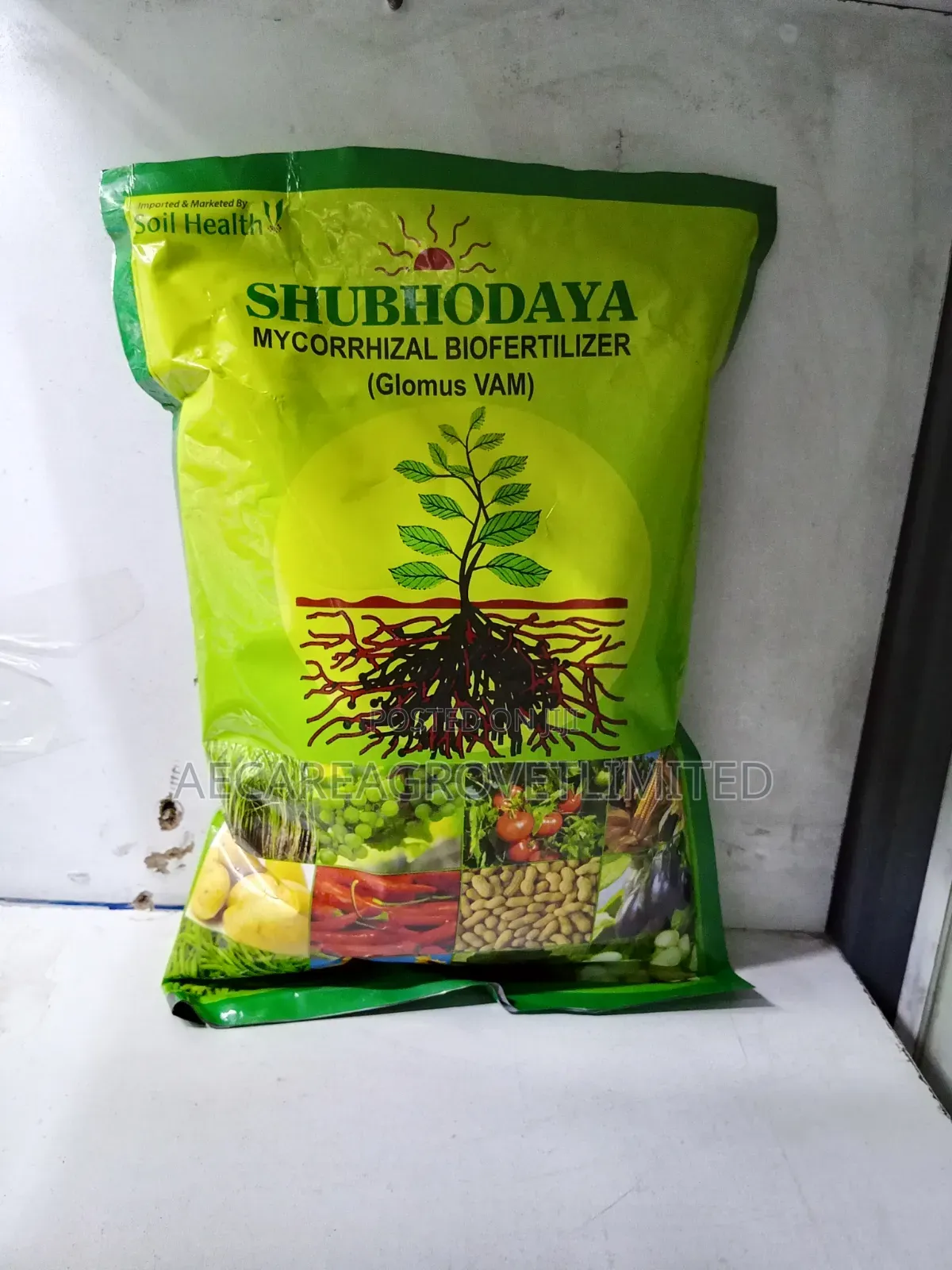Shubhodaya Mycorrhizal Biofertilizer (Glomus Vam) 1kg