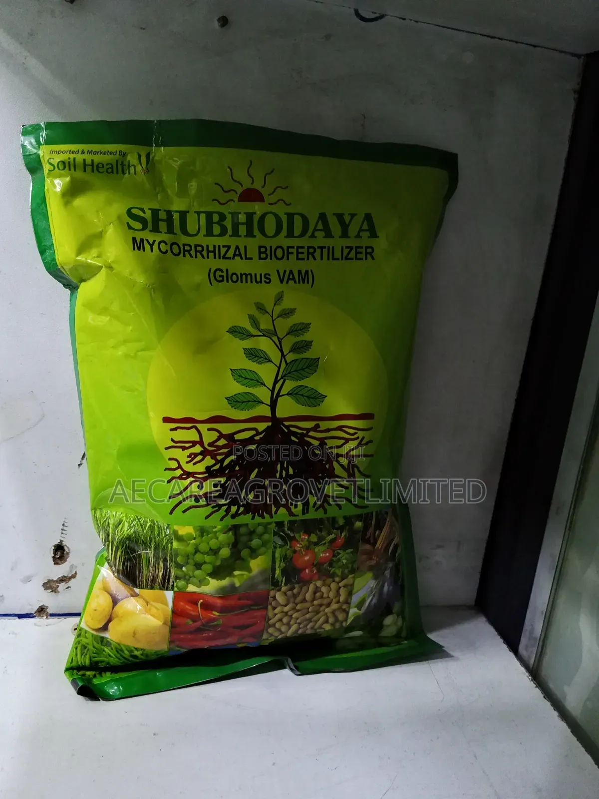 Shubhodaya Mycorrhizal Biofertilizer (Glomus Vam) 1kg