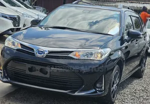 Toyota Corolla Fielder 2019 Black