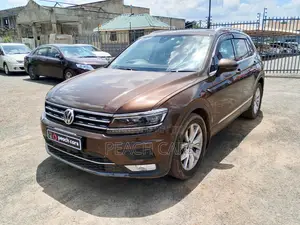 Volkswagen Tiguan 2017 Brown