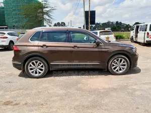 Volkswagen Tiguan 2017 Brown